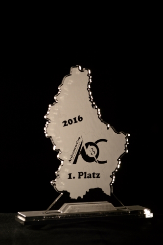 Pokal aus Acryl ca 30 cm hoch individuell gestaltet